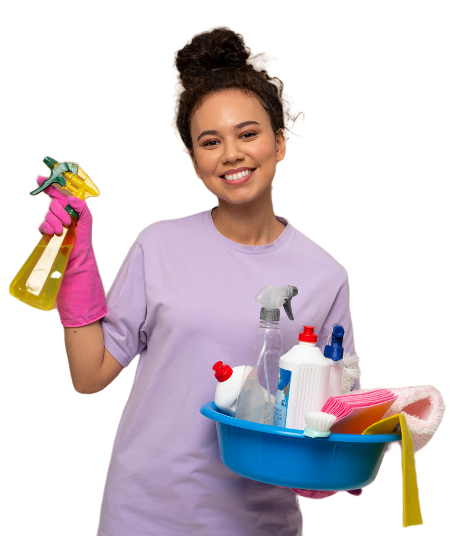 Cleaning professional